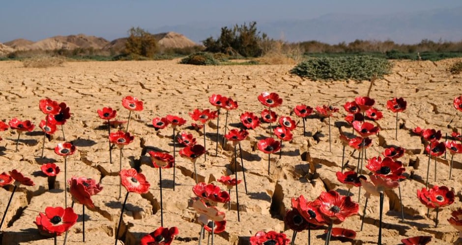 Into the Heartless Light of Darkness